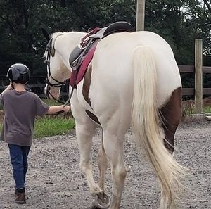 Meet your Posher, Allison